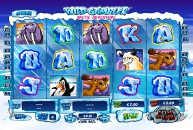 Wild Gambler Arctic Adventure  -  Playtech